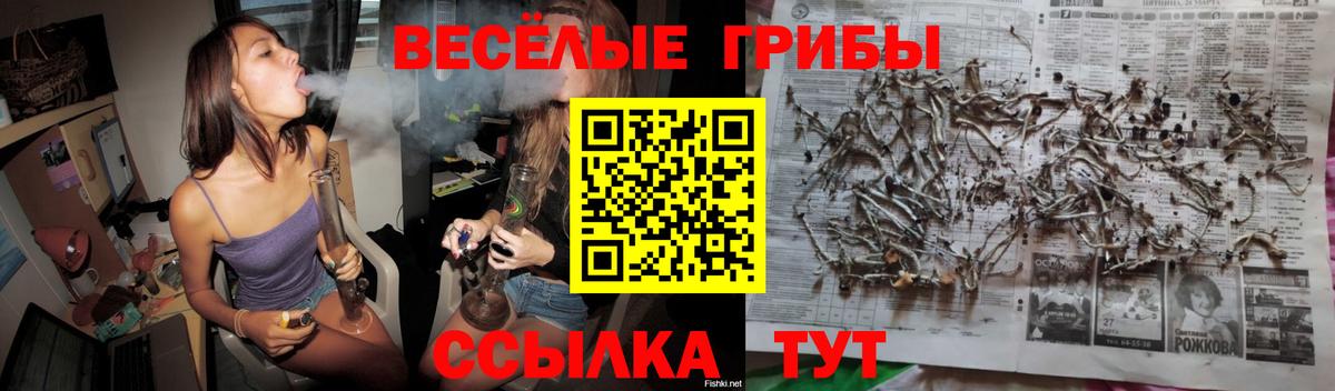 Галлюциногенные грибы мицелий Берёзовский